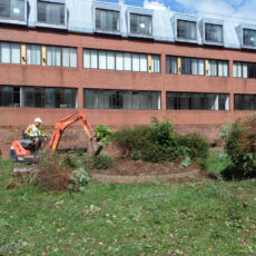 commercial site clearance